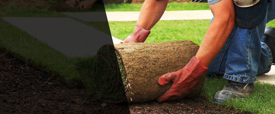 Beulaville Landscapers